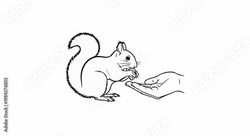 Sketch of a squirrel being fed a nut by an open hand