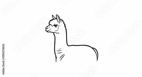 Simple black and white line drawing of an alpaca facing left