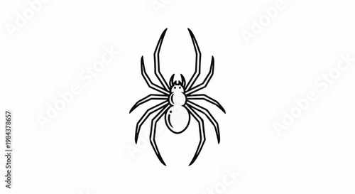 Simple black line art of a spider with eight legs and rounded abdomen