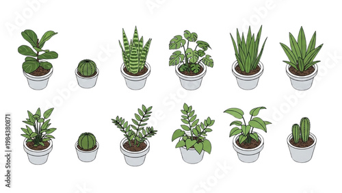 Vector 2D CAD illustrations of various plants in pots on a clean surface