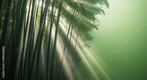 Sunlight streams through a dense bamboo forest creating a mystical and serene atmosphere with green hues and soft light
