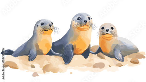 Cape Cross Seal Colony. Cape Cross Seal Colony hand drawn watercolor illustration on white background