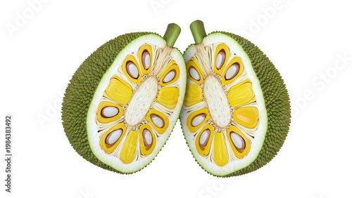 Sliced Jackfruit with Yellow Pods Tropical Fruit Vector