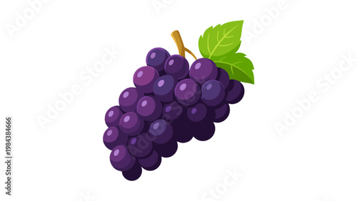 Fresh Purple Grapes Bunch with Green Leaf Vector Illustration
