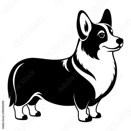 Pembroke Welsh Corgi