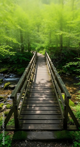 Wooden footbridge crossing a stream in a lush green sunlit forest, inviting path into nature's tranquility and scenic beauty