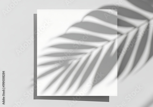 A large palm leaf on a gray background