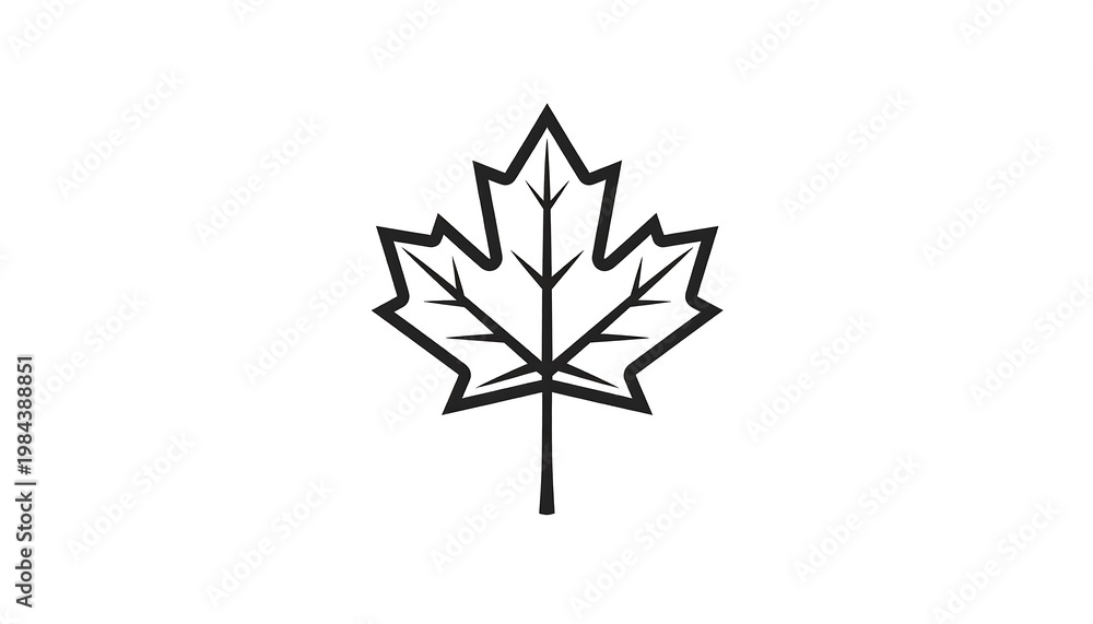 Obraz premium Maple Leaf Outline.