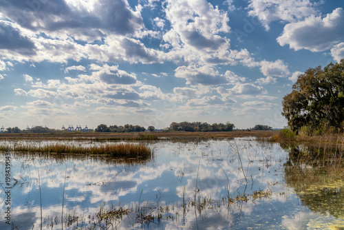 calm lake with sky reflections in the Savannah National Wildlife Refuge