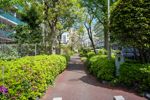 東京都江戸川区西葛西のマンション群の風景