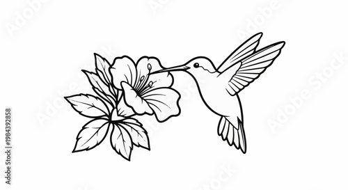 Delicate outline drawing of a hummingbird sipping nectar from a blooming flower