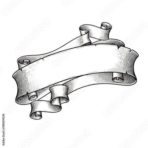 Blank rolled up paper scroll banner.