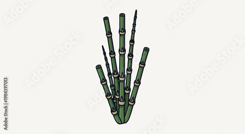 A cluster of green bamboo stalks with tan rings
