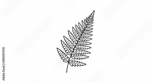 Stylized black outline of a fern frond with serrated leaflets