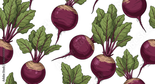 Seamless pattern background featuring many whole beetroots with fresh green leaves on a white background.
