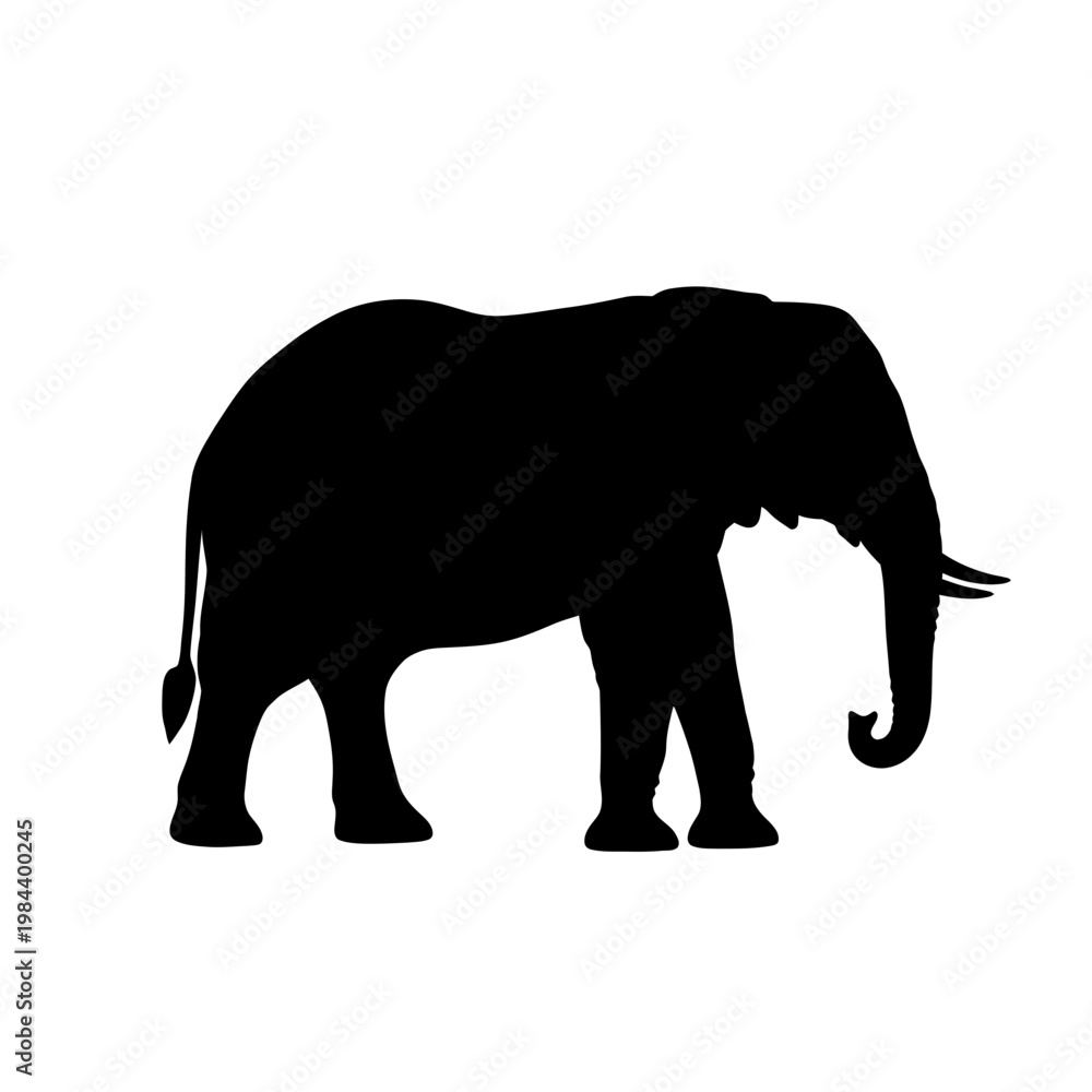 Fototapeta premium Elephant Silhouette Vector Illustration Isolated on White