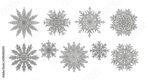 Collection of detailed black and white snowflake illustrations featuring various intricate symmetrical patterns on a clean white background.