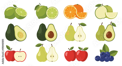 Large set of various fruit illustrations showing both whole and sliced versions of lime, orange, pear, avocado, and apple.