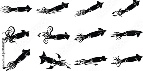 Squid Icon Set Featuring Various Poses and Tentacle Designs for Marine Life, Ocean, and Animal Illustrations