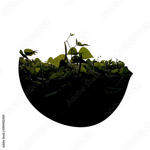 Vector illustration of young green plants growing in rich soil