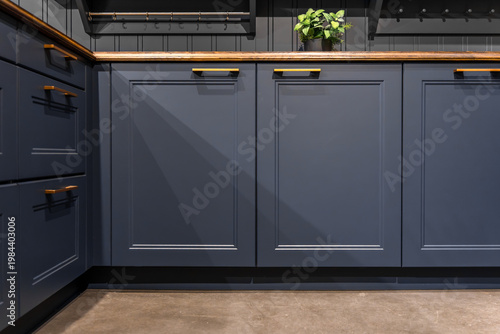 Tableau sur toile Modern kitchen cabinetry in deep blue color