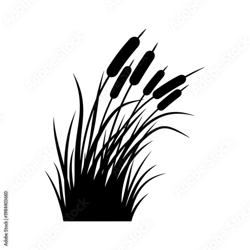 Black Silhouette of Cattails and Marsh Grass Vector Illustration