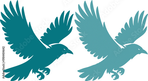 Two teal birds in flight with outstretched wings flying birds
