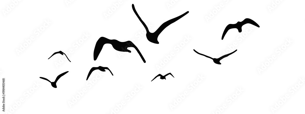 Obraz premium flock of duck birds flying on clear background png. png flock of birds flying in sky isolated clear background. flock of birds silhouette isolated on transparent clear background