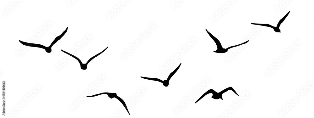 Obraz premium flock of duck birds flying on clear background png. png flock of birds flying in sky isolated clear background. flock of birds silhouette isolated on transparent clear background