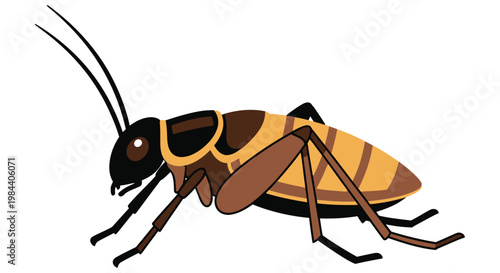 Foto Illustration of a cricket viewed from the side showcasing its anatomical feature