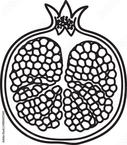 Pomegranate Fruit Half Line Art Illustration Outline Icon