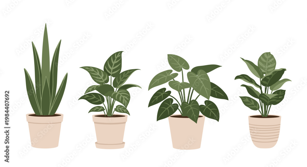 Obraz premium Set of four different leafy green houseplants in simple beige pots for interior decoration, urban jungle aesthetic, and home gardening.