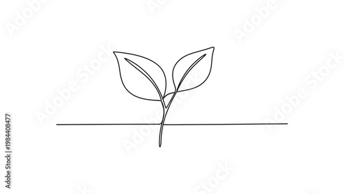 Simple line drawing of a sprouting plant. Continuous line style. Hand drawn. Line art. Vector design. illustration