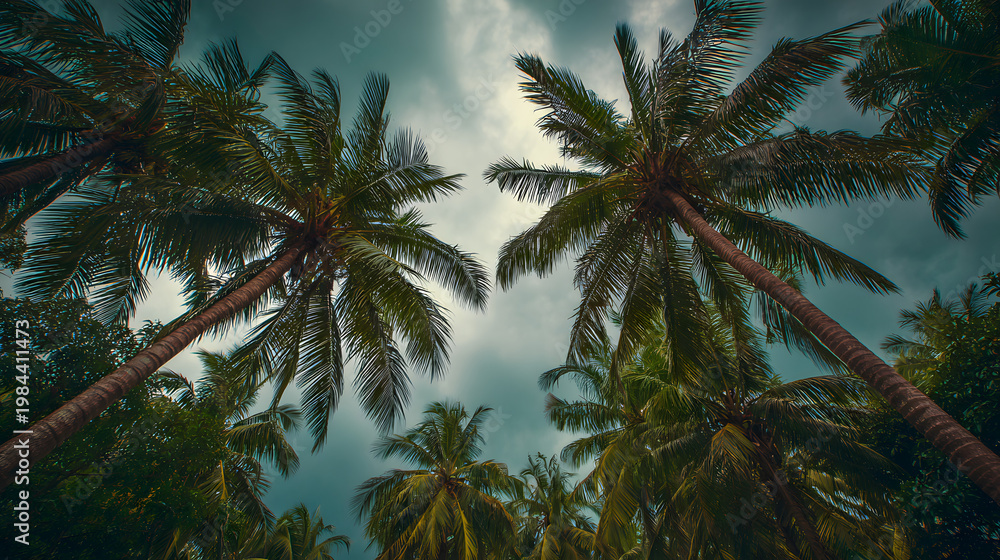 Obraz premium Tropical palm trees viewed from below against turquoise sky in a sunny summer travel scene