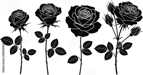 Black rose silhouette vector set with detailed floral stems leaves and buds elegant botanical illustration collection isolated on white background