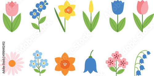 Colorful spring flower vector set with tulips daisy daffodil and bluebell flat style botanical collection isolated on white background