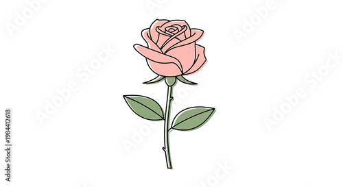 A delicate pink rose with green leaves and stem, symbolizing love, beauty, and romance, perfect for greeting cards and floral designs