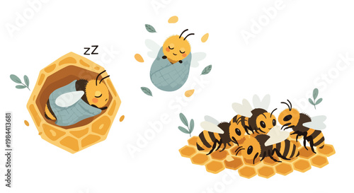 Illustration of a sleeping bee in a honeycomb next to awake bees on honeycombs with leaves on a white background.