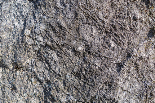 Rugged metamorphic rock surface with visible foliation outdoors