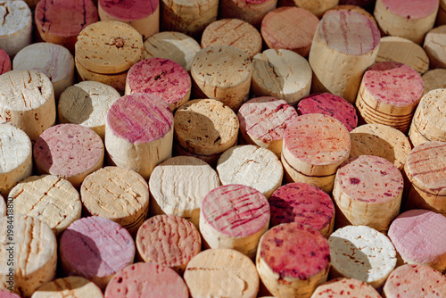 Many wine cork from white and red wine, natural texture bottle stoppers top view, colorful background from closeup wooden corks. Natural textured stoppers at sunlight. Winery, winemaking concept