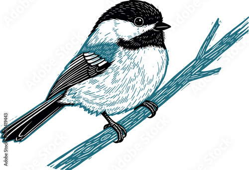 
Detailed Ink Style Black Capped Chickadee Bird Perched on Branch in Blue and Black Tones Isolated on White Background Vector
