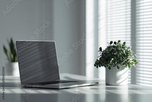 Wallpaper Mural Minimal workspace with laptop and plant soft sunlight shadows clean desk modern home office aesthetic Torontodigital.ca