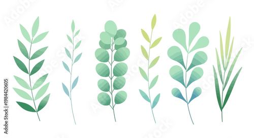 Set of watercolor botanical illustrations featuring delicate leaves and branches in various shades of green, perfect for design projects