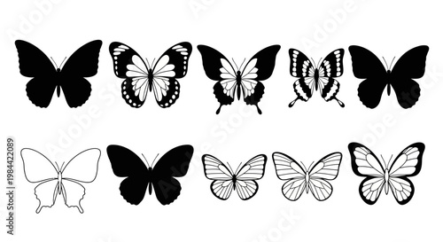 Collection of diverse butterfly silhouettes and line art illustrations on a white background