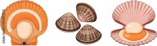 Realistic Sliced Deli Meat Collection Featuring Ham Salami and Sausage Cuts in Cartoon Flat Design Style