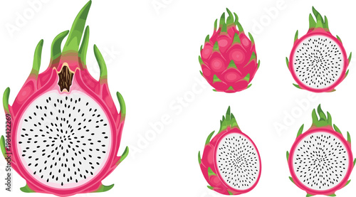 
Fresh Tropical Dragon Fruit Set with Whole and Sliced Half Showing White Flesh and Black Seeds Isolated on White Background Vector
