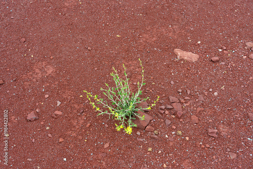 Red Marl Lagoon Area in Murcia’s Semi-Arid Landscape, Murcia, Spain
