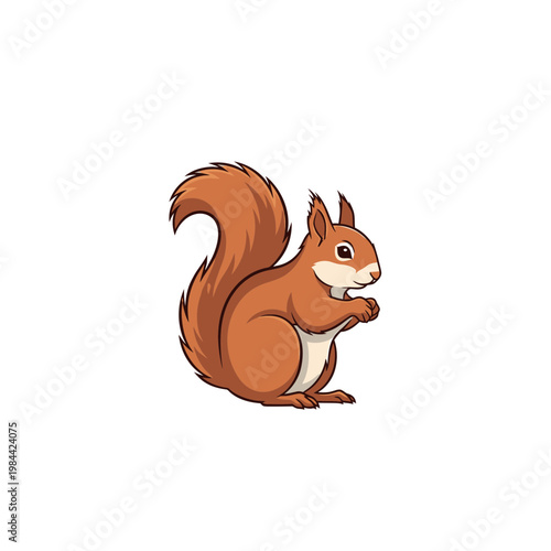 Cute Red Squirrel Vector Illustration Isolated on White Background