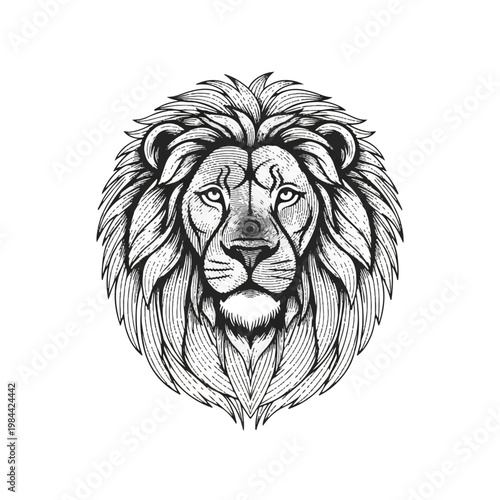 Detailed illustration of a lions face 2.