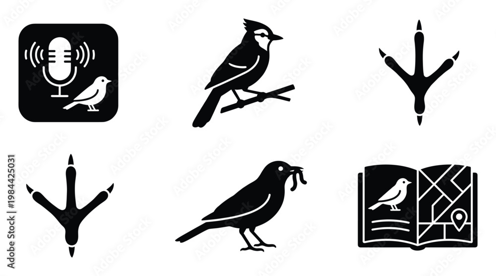 Fototapeta premium Essential black and white birdthemed vector icons for birdwatching, ornithology, and nature studies, perfect for educational materials, wildlife guides, and digital applications.